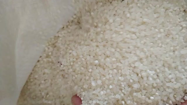 巢湖大米，碎米，中碎