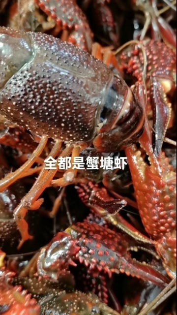  小龙虾