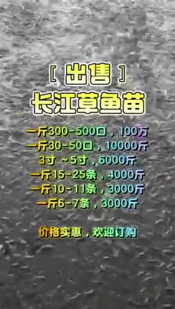 博罗县草鱼苗 #产地直销