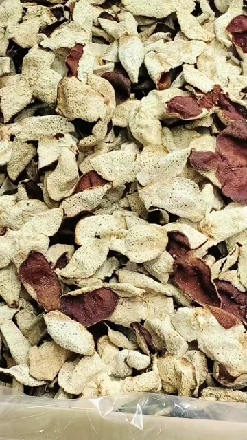 广州陈皮