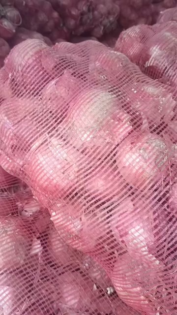  红皮洋葱