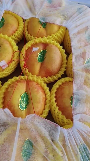  蟠桃