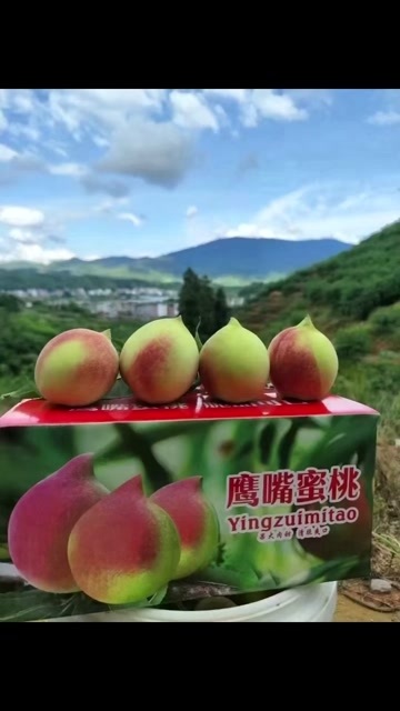  蜜桃