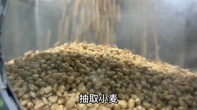 金乡县面粉