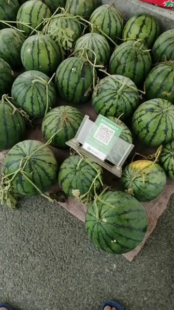 西瓜