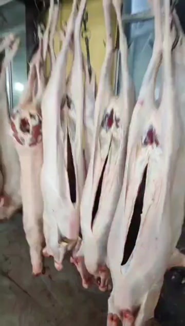 海原县羊肉
