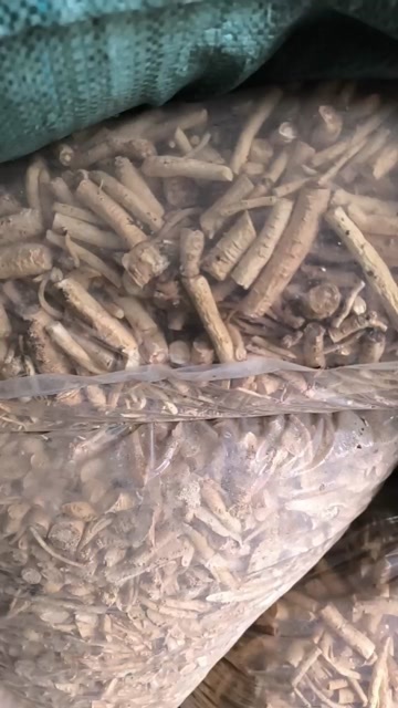 玉龙县臭参冻干货