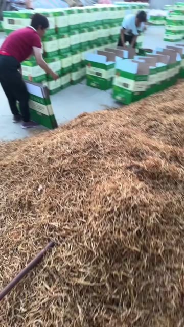 合阳县干花菜