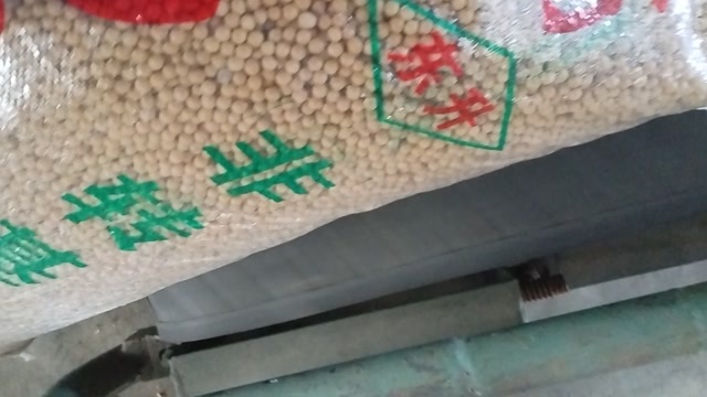 拜泉县大豆