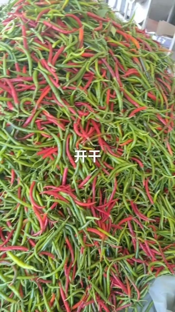 忻州辣椒
