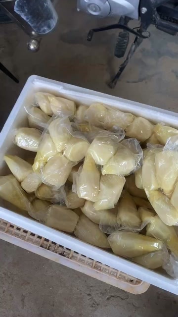 古田县竹笋
