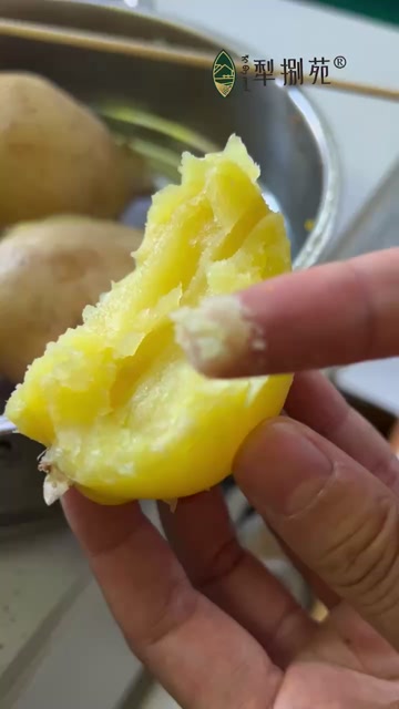 红土豆  新鲜红皮黄心小土豆武川土豆农家自种蔬菜马铃薯小洋芋