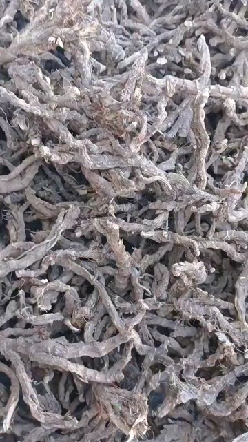 奉节石昌蒲干货