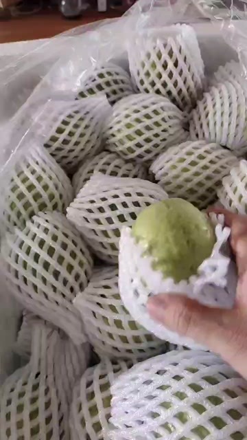 漳州白1.9，红3.0，场地直发