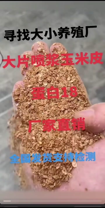 石家庄喷浆玉米皮