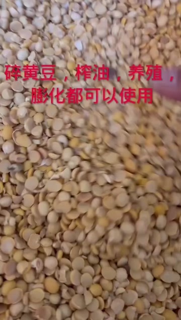 长沙碎黄豆，上地饲料豆，养殖饲料豆，榨油压饼豆。