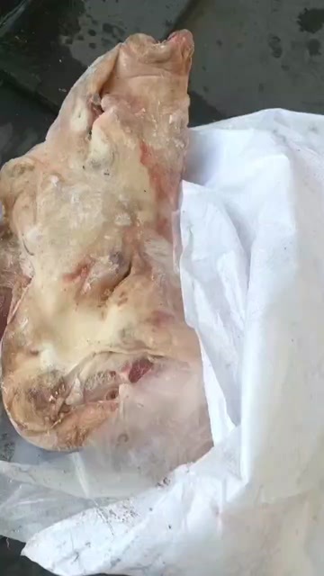 青岛品名：母猪劈半无耳头规格：袋装抄码