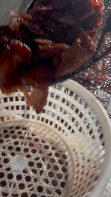 滨州渤海湾纯海蜇