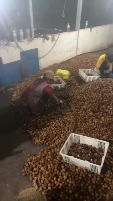 漾濞县漾濞核桃