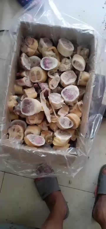 水褪牛蹄 火烧牛蹄 牛蹄切块