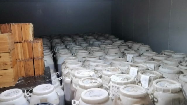 北京土蜂蜜（一年割一次）百花蜜