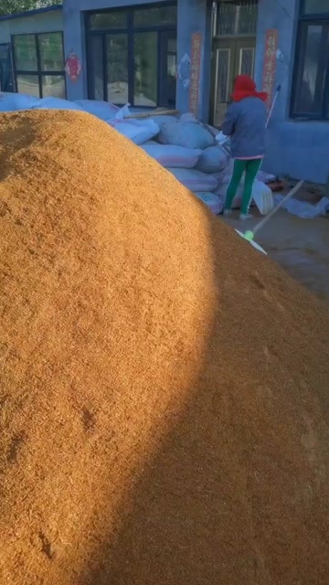 建平县沙棘果皮