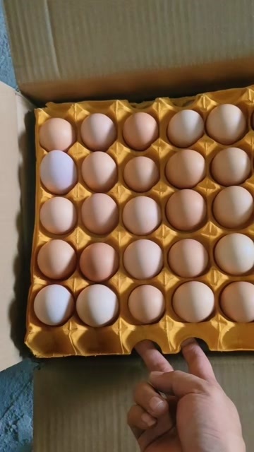 长沙县精品土鸡蛋农五