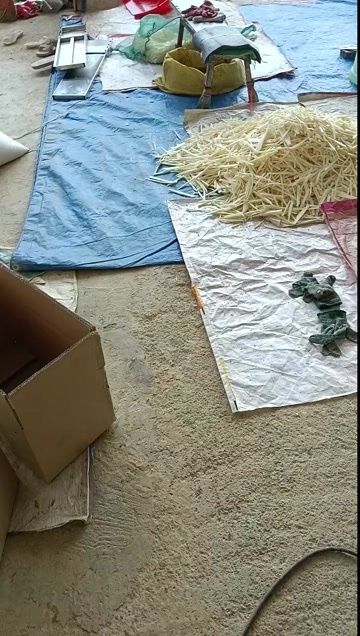 田林县八渡笋