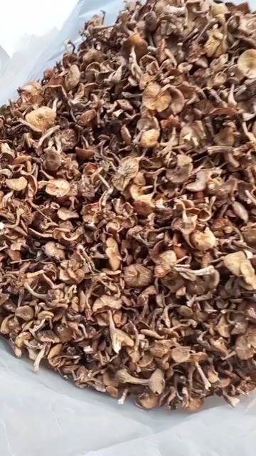 隆化县干榛蘑