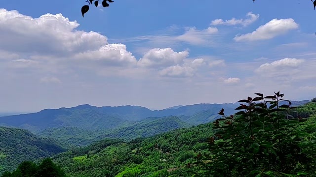大邑县烟熏乌梅
