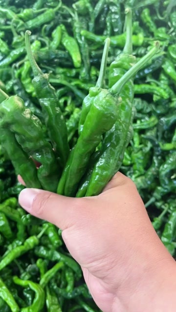 蒲城县皱皮椒