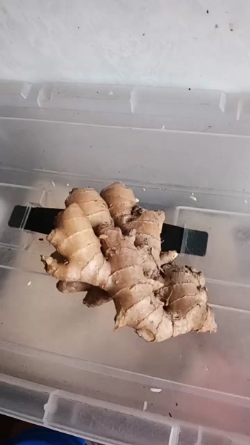 武穴市老姜