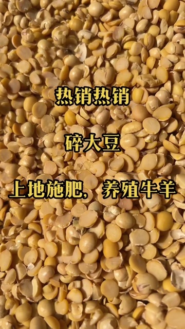 临清市碎黄豆下角料，碎黄豆￼