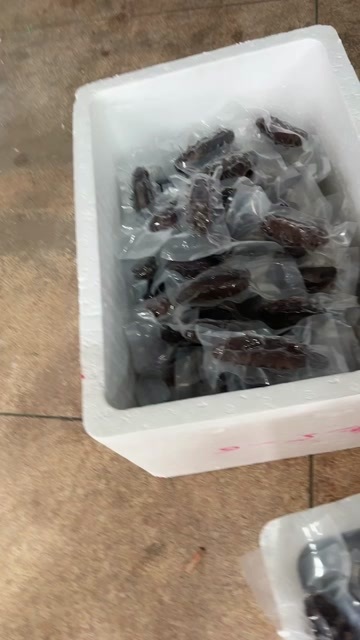 霞浦县6-8