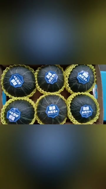 寿光市需要南瓜贝贝的全国代发