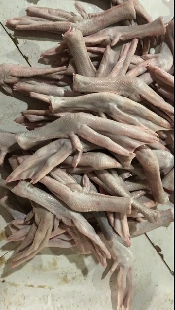 新鲜鹅掌翅，量大从优