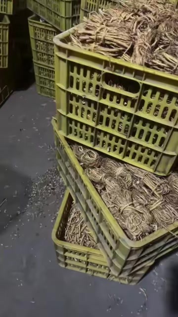 柳州五指毛桃小把