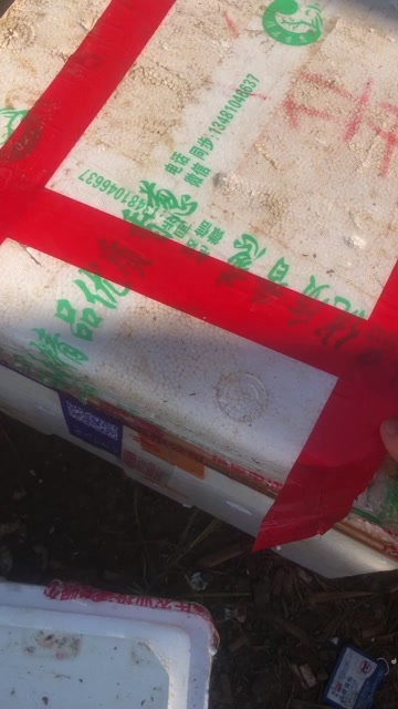 田东县南姜