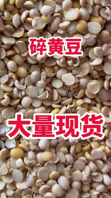 临清市碎黄豆 大量现货
