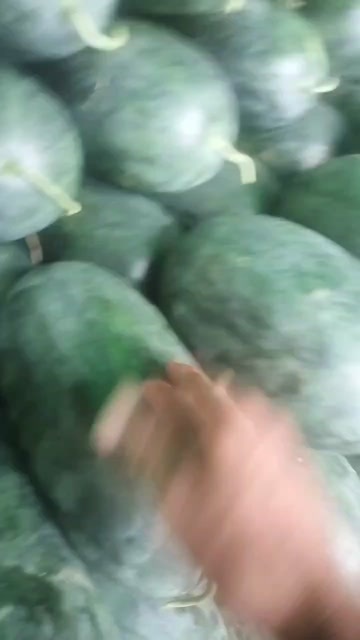扶绥县黑美人7--14斤