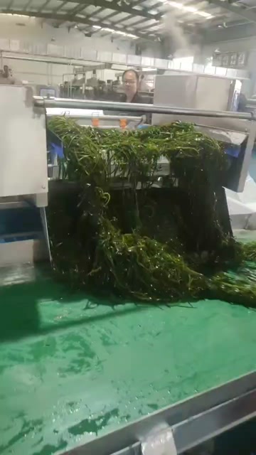 福建莆田湄洲岛盐渍烘干海带丝圆饼适应商超，赶集商用