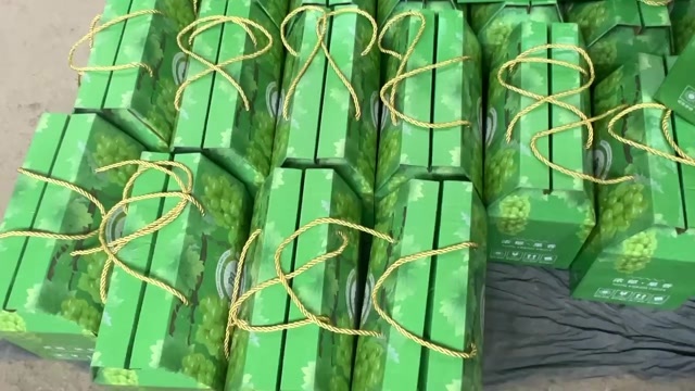 正阳县阳光玫瑰