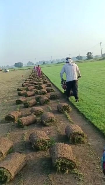滁州百慕大