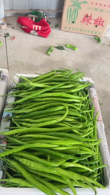 线椒