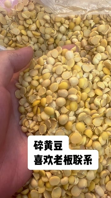 郓城县碎黄豆