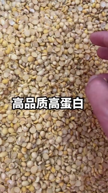 临清市碎黄豆