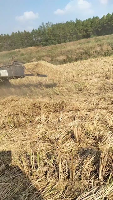 荆门高密度小方包三道绳，每捆60斤左右，无土无霉变长期供货