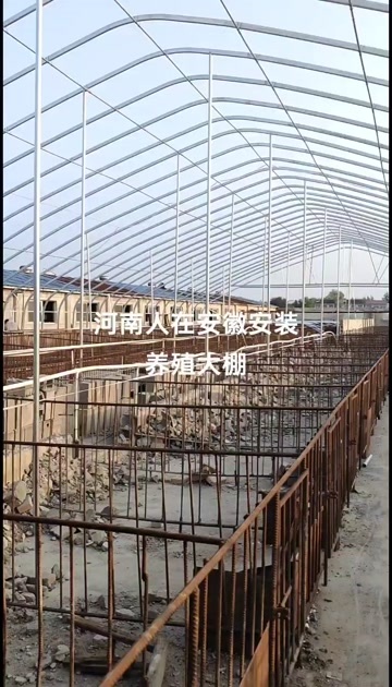 永城市河南人全国搭建养殖大棚