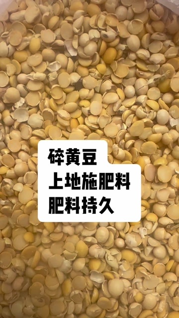 郓城县碎黄豆
