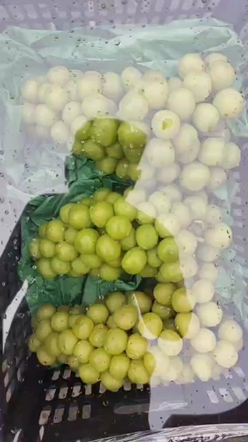 邯郸葡萄阳光玫瑰